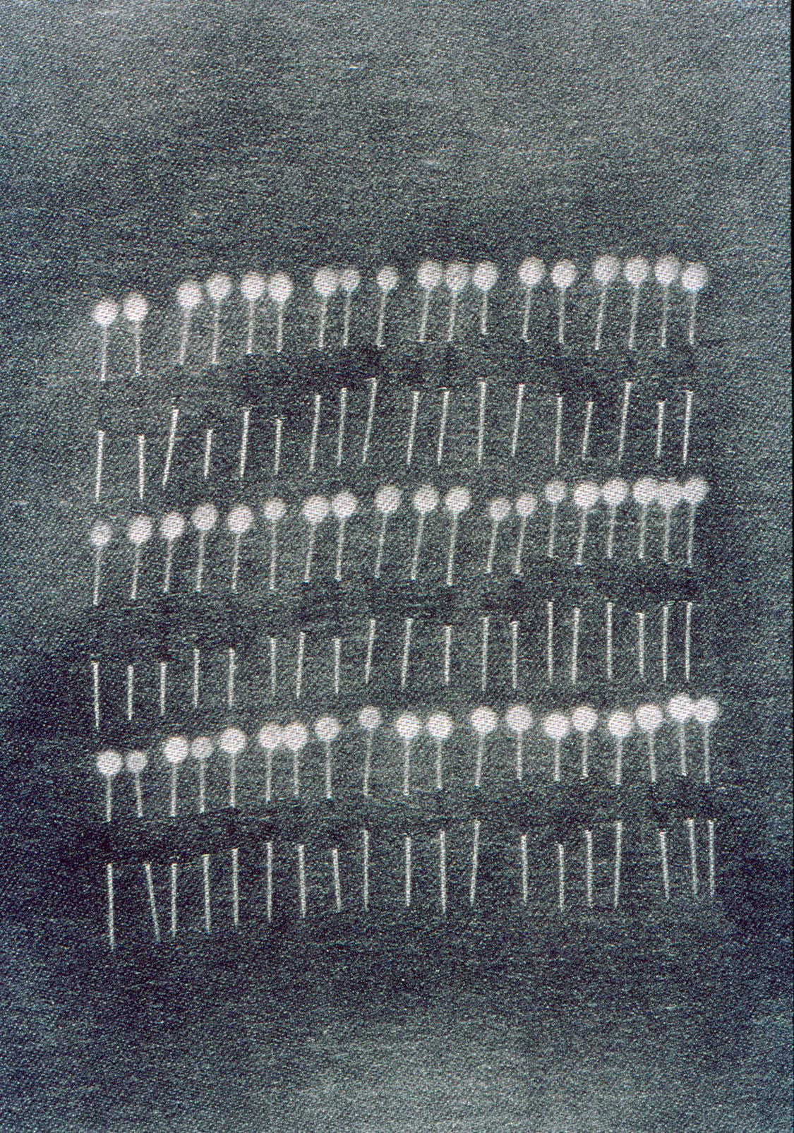 PINS Print