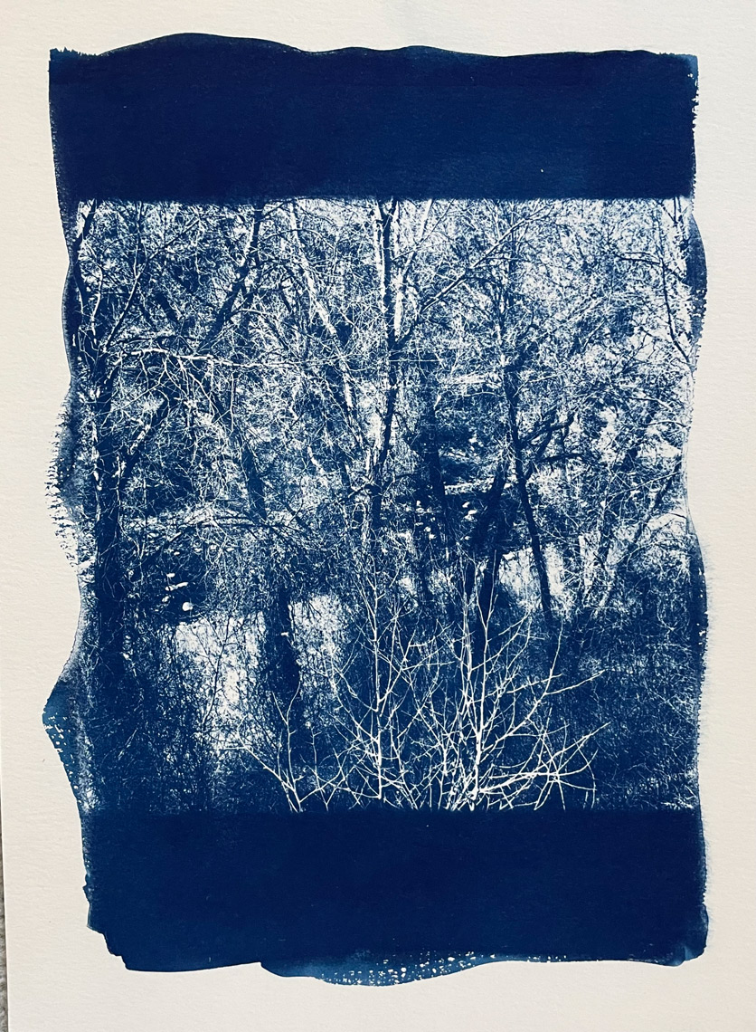 0009_web_Winter-Path