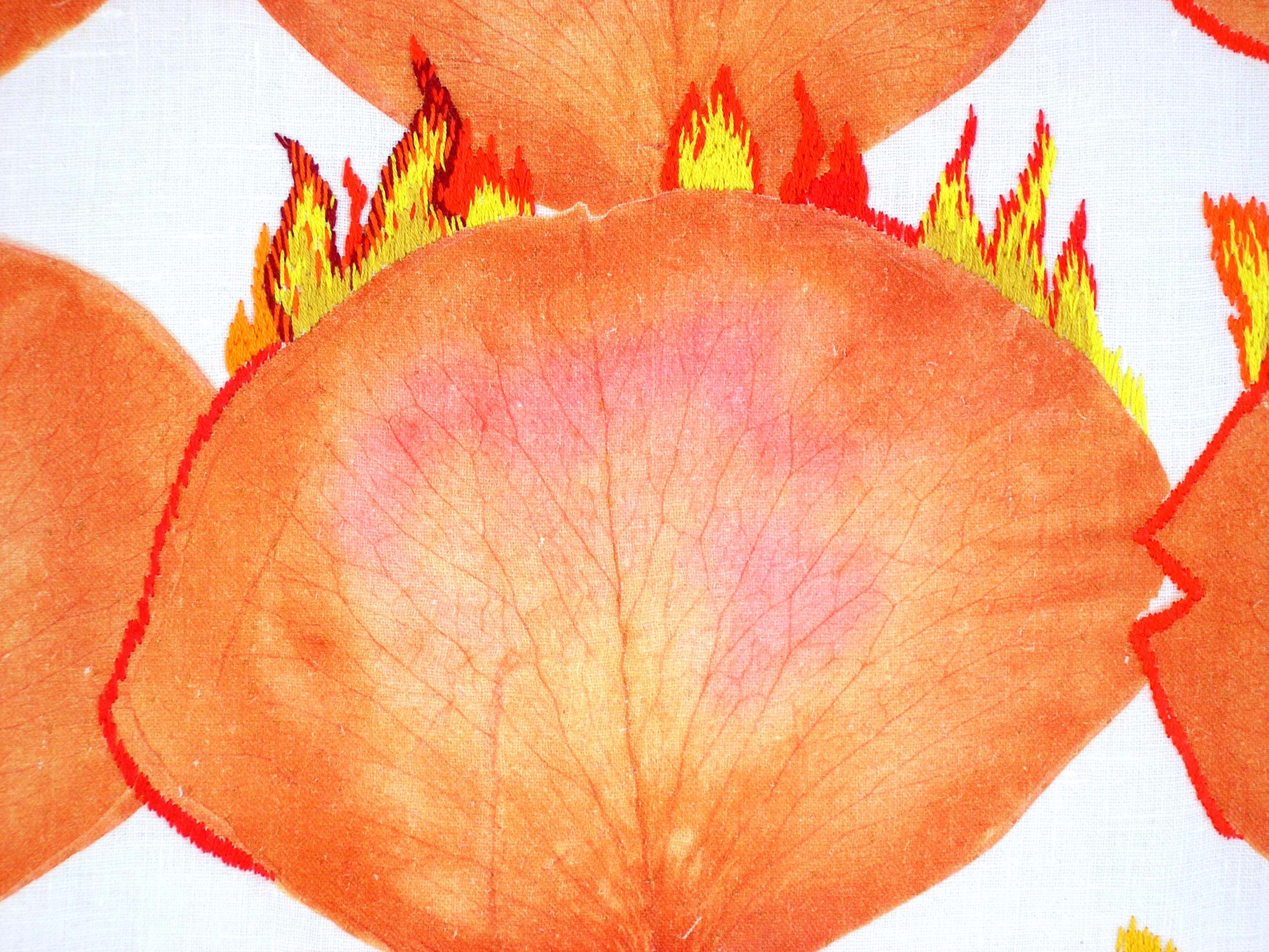 Detail Flaming Roses