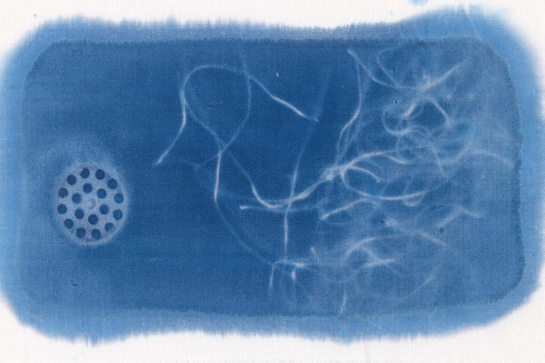 SUN PRINTS