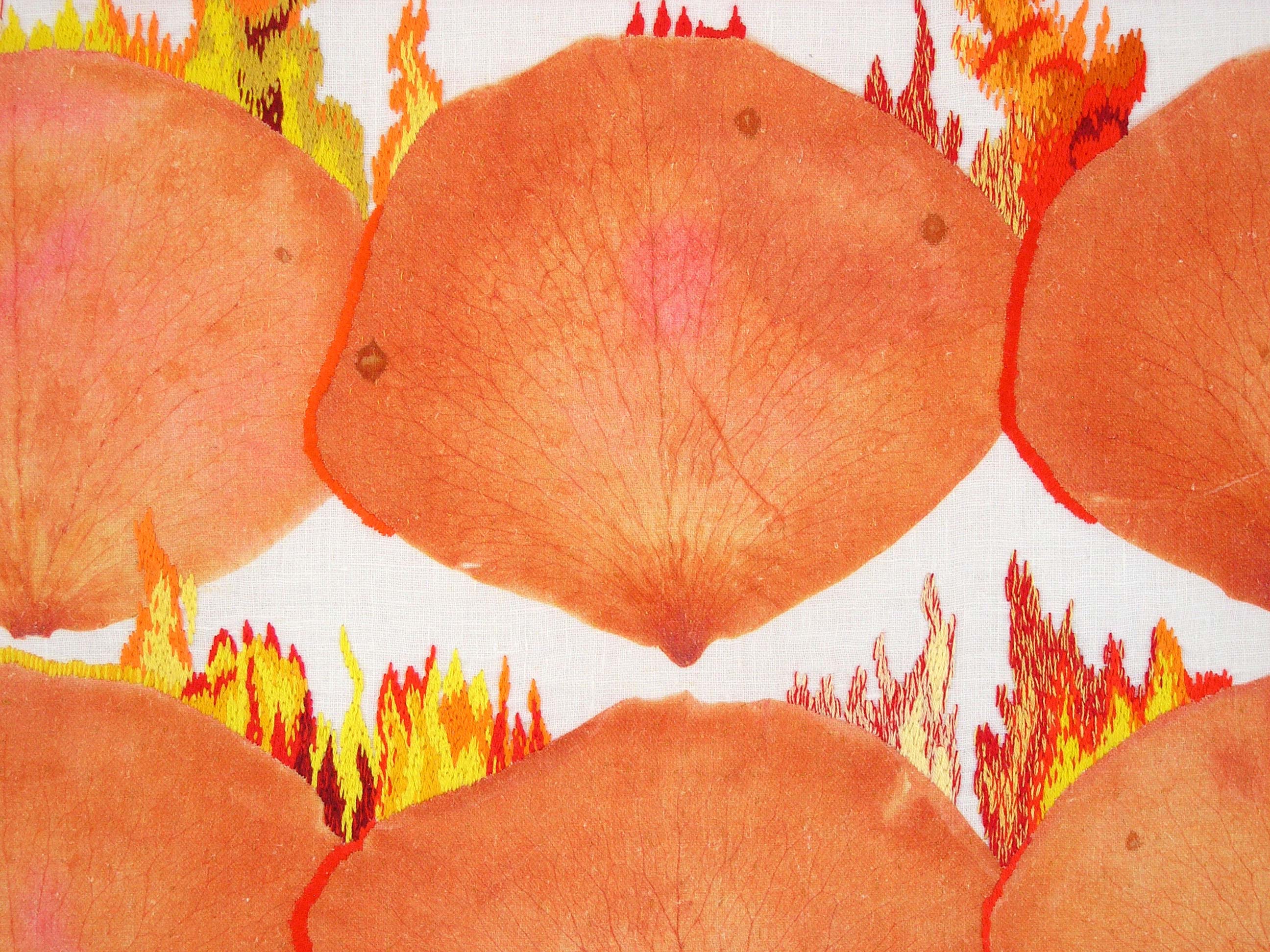 Detail Flaming Roses
